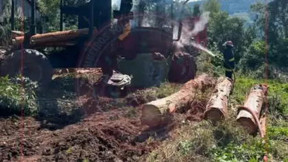 Incêndio atinge máquina agrícola em Boa Vista do Sul - Studio TV
