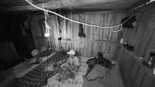 Justiça condena ruralista no RS por alojamento degradante durante safra de arroz - Studio TV