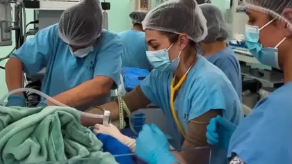 Nascimento de trigêmeos prematuros mobiliza mais de 25 profissionais em Joaçaba - Studio TV
