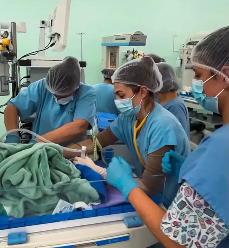 Nascimento de trigêmeos prematuros mobiliza mais de 25 profissionais em Joaçaba - Studio TV