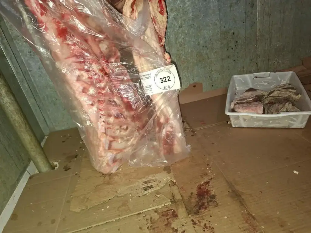No Norte do RS, força-tarefa apreende 2,2 toneladas de alimentos impróprios em Constantina - Studio TV