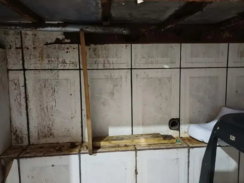 No Norte do RS, força-tarefa apreende 2,2 toneladas de alimentos impróprios em Constantina - Studio TV