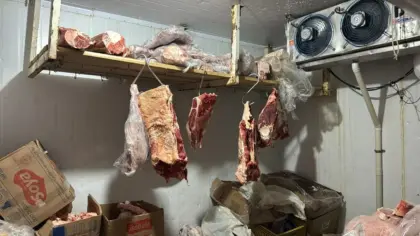 No Norte do RS, força-tarefa apreende 2,2 toneladas de alimentos impróprios em Constantina - Studio TV