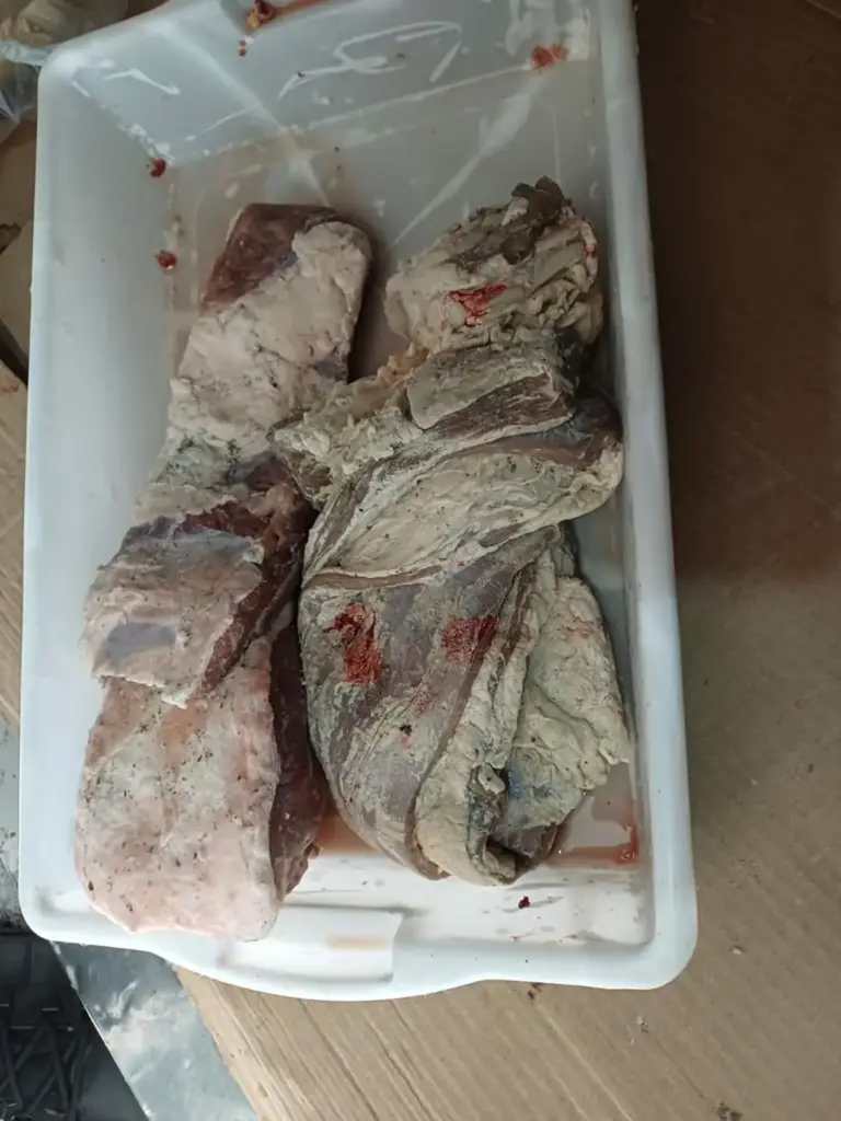 No Norte do RS, força-tarefa apreende 2,2 toneladas de alimentos impróprios em Constantina - Studio TV