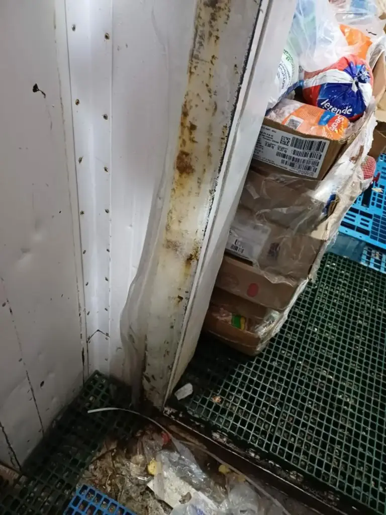 No Norte do RS, força-tarefa apreende 2,2 toneladas de alimentos impróprios em Constantina - Studio TV