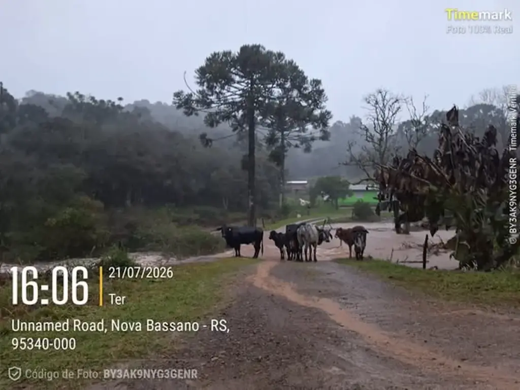 Nova Bassano decreta situação de emergência após fortes chuvas causarem prejuízos - Studio TV