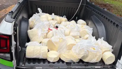 Operação apreende queijo irregular no Paraná - Studio TV
