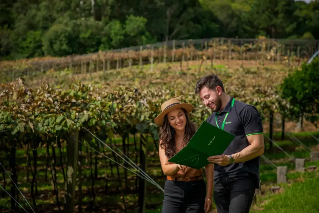 Plano Safra aproxima Sicredi Serrana do produtor rural - Studio TV