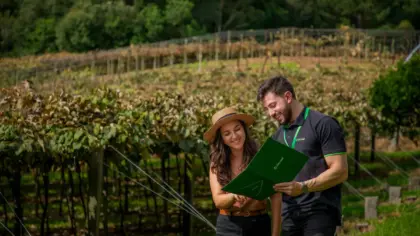 Plano Safra aproxima Sicredi Serrana do produtor rural - Studio TV