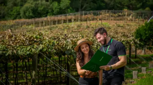 Plano Safra aproxima Sicredi Serrana do produtor rural - Studio TV