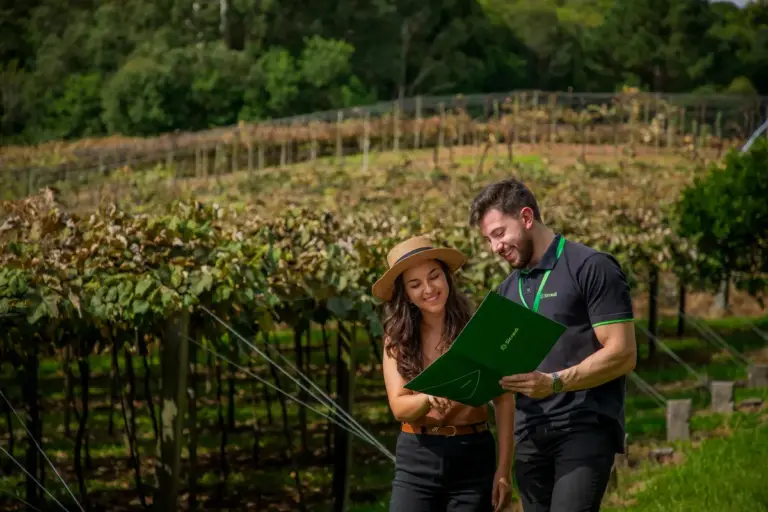 Plano Safra aproxima Sicredi Serrana do produtor rural - Studio TV