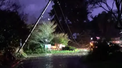 Poste cai na BR-470 e deixa trânsito lento na Serra das Antas, em Veranópolis - Studio TV