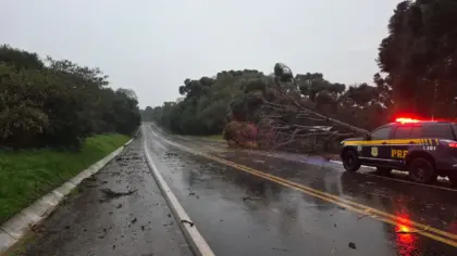 PRF alerta motoristas para riscos causados pela chuva nas rodovias federais do RS - Studio TV