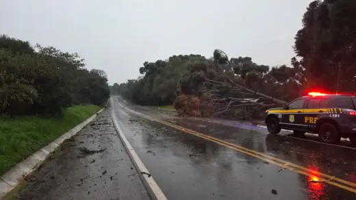 PRF alerta motoristas para riscos causados pela chuva nas rodovias federais do RS - Studio TV