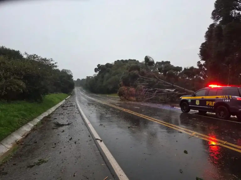 PRF alerta motoristas para riscos causados pela chuva nas rodovias federais do RS - Studio TV