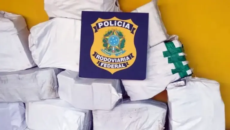 PRF apreende quase meia tonelada de cocaína na BR-101 em Santa Catarina - Studio TV