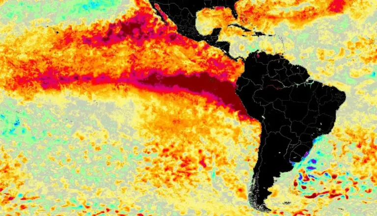 Projeções indicam El Niño com intensidade sem precedentes na história - Studio TV