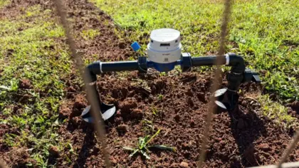 Corsan regulariza abastecimento de água para 195 famílias da ocupação Bela Vista em Passo Fundo - Studio TV