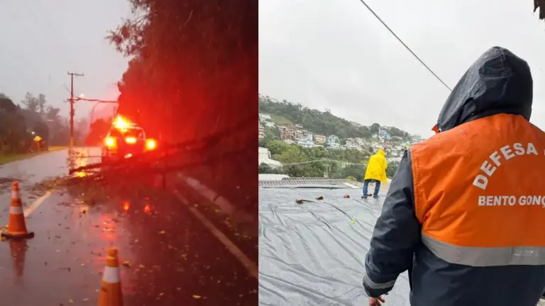 Chuva forte causa quedas de árvores, alagamentos e bloqueios em Bento Gonçalves - Studio TV
