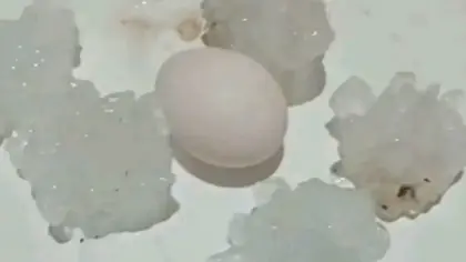 Tempestades com granizo de grande porte atingem o Vale do Rio Pardo - Studio TV