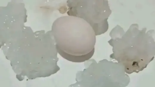 Tempestades com granizo de grande porte atingem o Vale do Rio Pardo - Studio TV