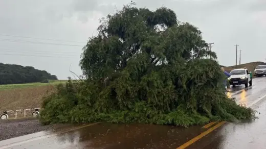 Temporal com granizo causa destruição em municípios do Norte gaúcho - Studio TV