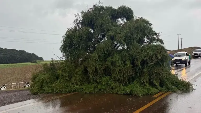 Temporal com granizo causa destruição em municípios do Norte gaúcho - Studio TV