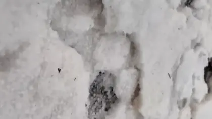 Temporal com granizo cobre ruas e surpreende moradores em Não-Me-Toque - Studio TV
