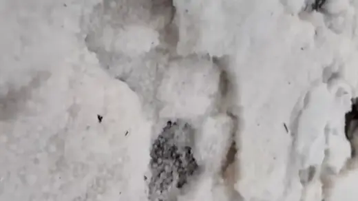 Temporal com granizo cobre ruas e surpreende moradores em Não-Me-Toque - Studio TV