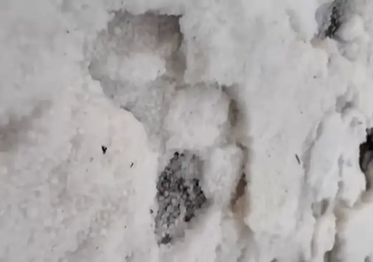 Temporal com granizo cobre ruas e surpreende moradores em Não-Me-Toque - Studio TV