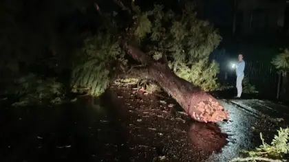 Temporal com granizo e ventos fortes causa estragos em Cotiporã - Studio TV