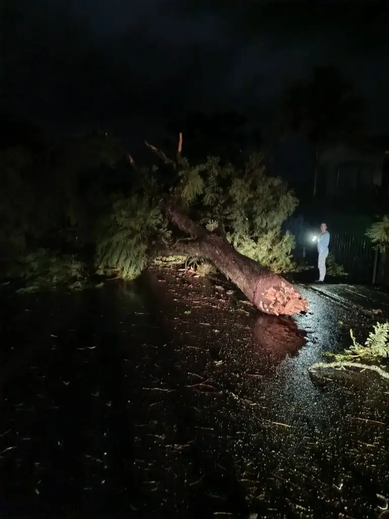 Temporal com granizo e ventos fortes causa estragos em Cotiporã - Studio TV