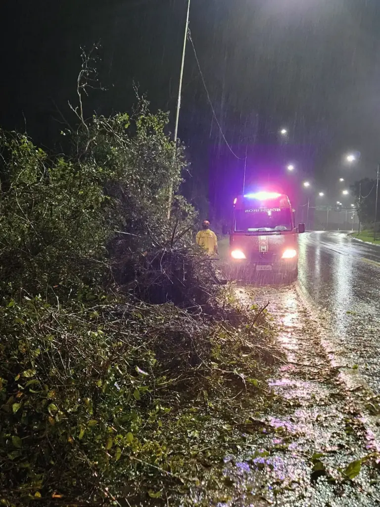 Temporal provoca quedas de árvores, destelhamento e deslizamento em Garibaldi - Studio TV