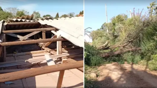 Vendaval deixa rastro de danos em 11 cidades do Rio Grande do Sul - Studio TV