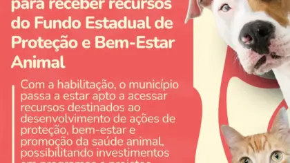 Vila Flores é habilitada para receber recursos do Fundo Estadual de Proteção e Bem-Estar Animal - Studio TV