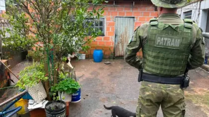 Ação integrada apura denúncias de possíveis maus-tratos a cães em Erechim - Studio TV