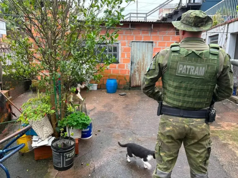 Ação integrada apura denúncias de possíveis maus-tratos a cães em Erechim - Studio TV