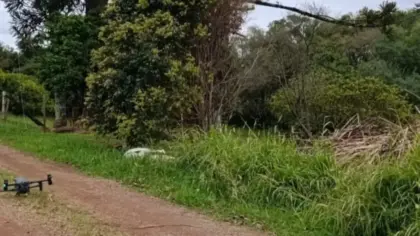 Bombeiros Voluntários realizam buscas por homem de 52 anos desaparecido em Nova Petrópolis - Studio TV