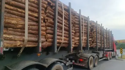 Caminhão é flagrado com 18 toneladas acima do limite na ERS-122, em Farroupilha - Studio TV