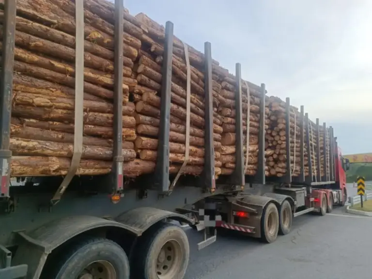 Caminhão é flagrado com 18 toneladas acima do limite na ERS-122, em Farroupilha - Studio TV