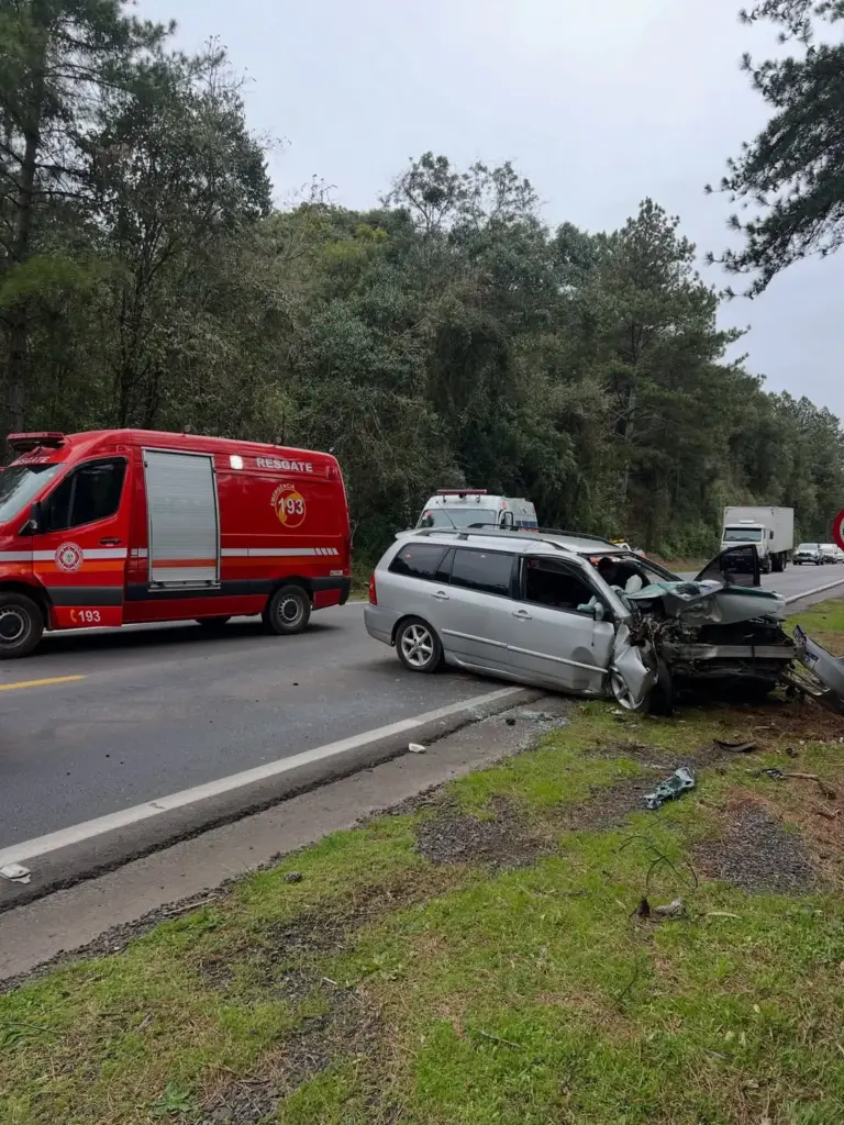 Carro bate em árvore e deixa uma pessoa ferida na ERS-122, em Antônio Prado - Studio TV