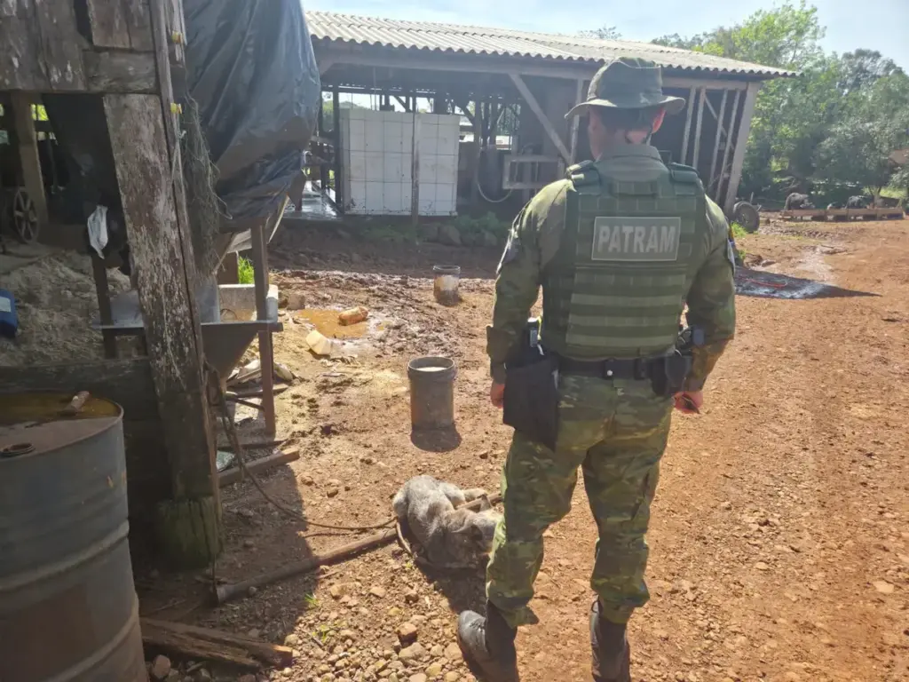 Caso de maus-tratos a animal é registrado no Norte do RS - Studio TV