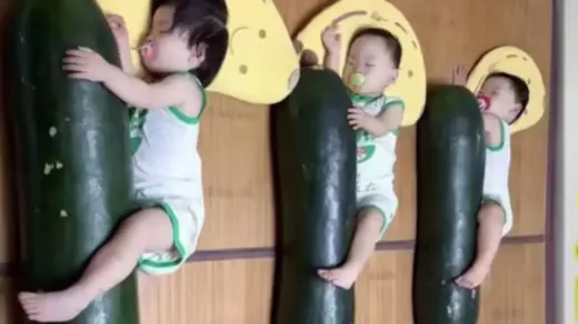 Chineses viralizam ao dormir abraçados com melão para aliviar o calor - Studio TV