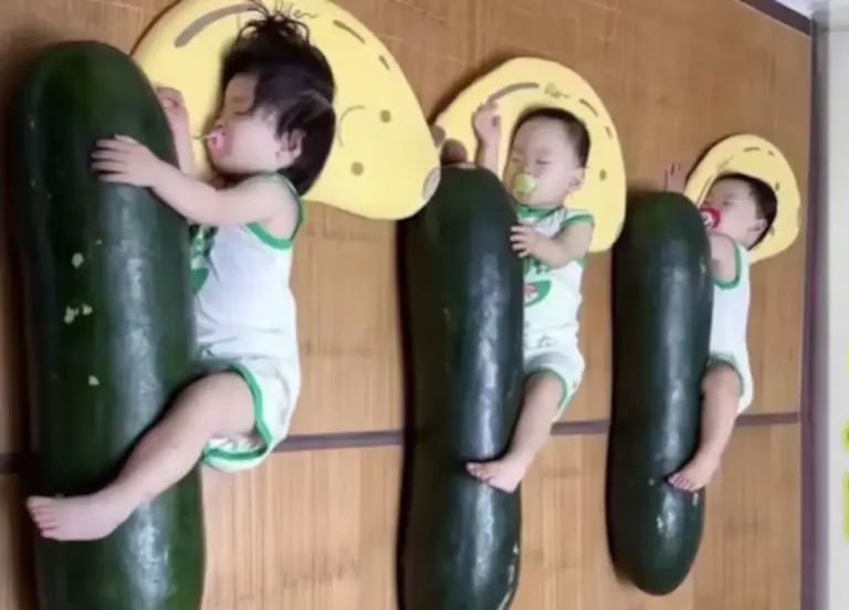 Chineses viralizam ao dormir abraçados com melão para aliviar o calor - Studio TV