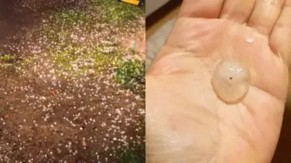 Chuva de granizo provoca estragos e mobiliza Defesa Civil em Osório - Studio TV