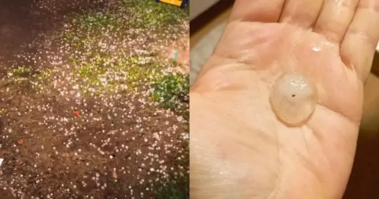 Chuva de granizo provoca estragos e mobiliza Defesa Civil em Osório - Studio TV