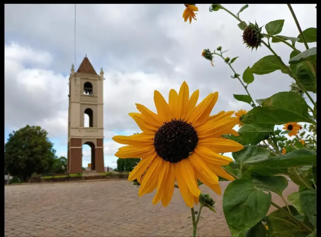 Concurso Fotográfico escolhe imagens do Calendário Ecológico de Vila Flores - Studio TV