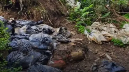 Dezenas de cães são encontrados mortos em sacos de lixo em SC - Studio TV