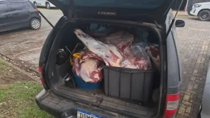Dois homens são presos por abigeato em Caxias do Sul; terceiro suspeito foge - Studio TV
