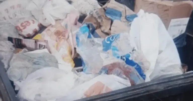 Feto é encontrado em contêiner de lixo em Cachoeirinha - Studio TV